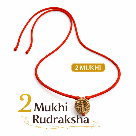 Natural Rudraksha (2 to 7 Mukhi) | Traditionally Prepared – Dhivarashi