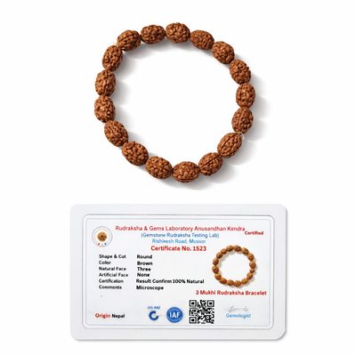 Dhivarashi 3 Mukhi Rudraksha Bracelet - Natural Elastic Agni Dev Fire God Confidence Self Esteem Spiritual Healing Beads