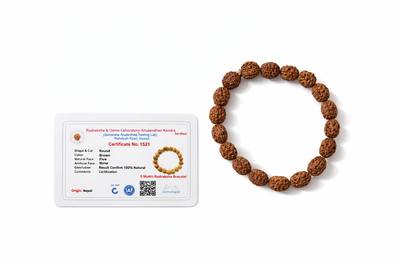 Dhivarashi 5 Mukhi Rudraksha Bracelet - Natural Elastic Beads Lord Shiva Meditation Stress Relief Spiritual Hindu Mala