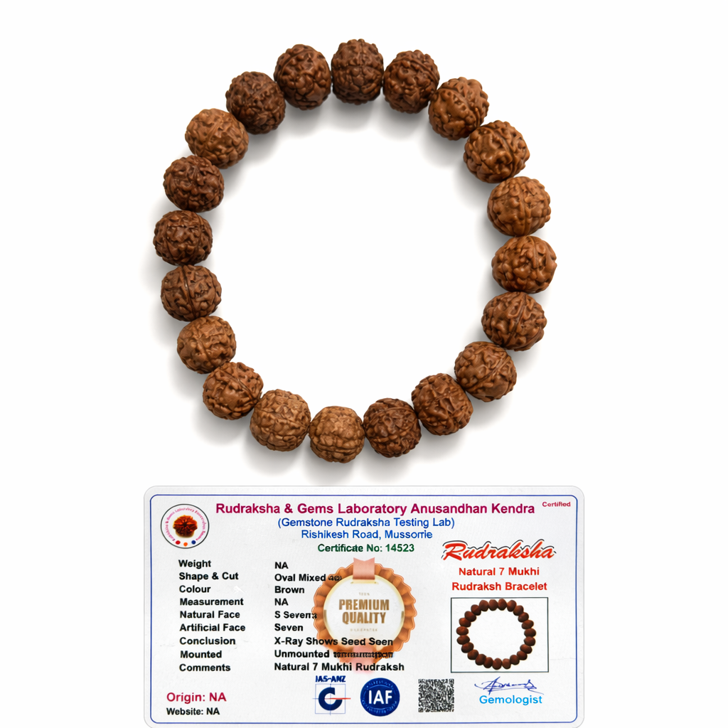 7 Mukhi Rudraksha Bracelet