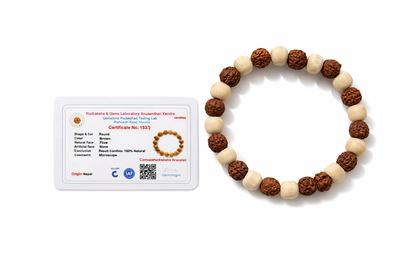 Dhivarashi Rudraksha Tulsi Bracelet for Men & Women | 100% Natural Tulsi Wood & Rudraksha Beads | Spiritual Protection, Peace & Meditation Bracelet