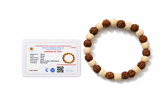 Dhivarashi Rudraksha Tulsi Bracelet for Men & Women | 100% Natural Tulsi Wood & Rudraksha Beads | Spiritual Protection, Peace & Meditation Bracelet