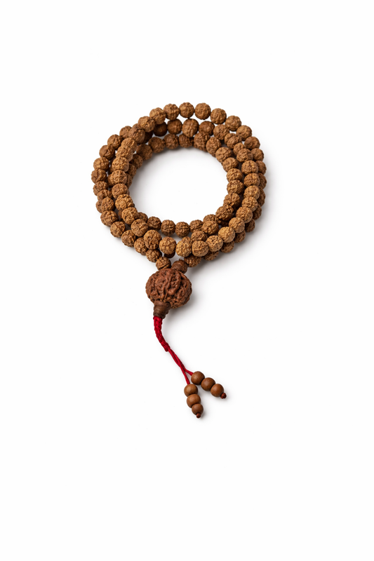Dhivarashi Rudraksha Mala Latkan 8mm - Natural Seeds Design Spiritual Hindu Prayer Meditation Japa Beads Necklace