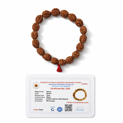 Dhivarashi 4 Mukhi Rudraksha Bracelet - Natural Elastic Lord Brahma Knowledge Creativity Wisdom Communication Spiritual Seeds