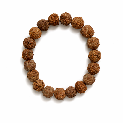 6 Mukhi Rudraksha Bracelet