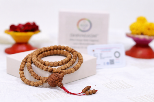 Dhivarashi Rudraksha Mala Latkan 8mm - Natural Seeds Design Spiritual Hindu Prayer Meditation Japa Beads Necklace