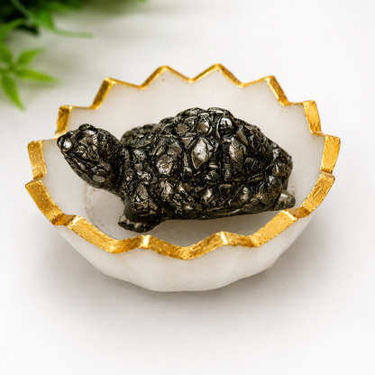 Pyrite Tortoise in Selenite Bowl | Vastu Prosperity Combo with Free Rudraksha