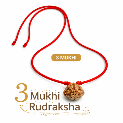 Natural Rudraksha (2 to 7 Mukhi) | Traditionally Prepared – Dhivarashi