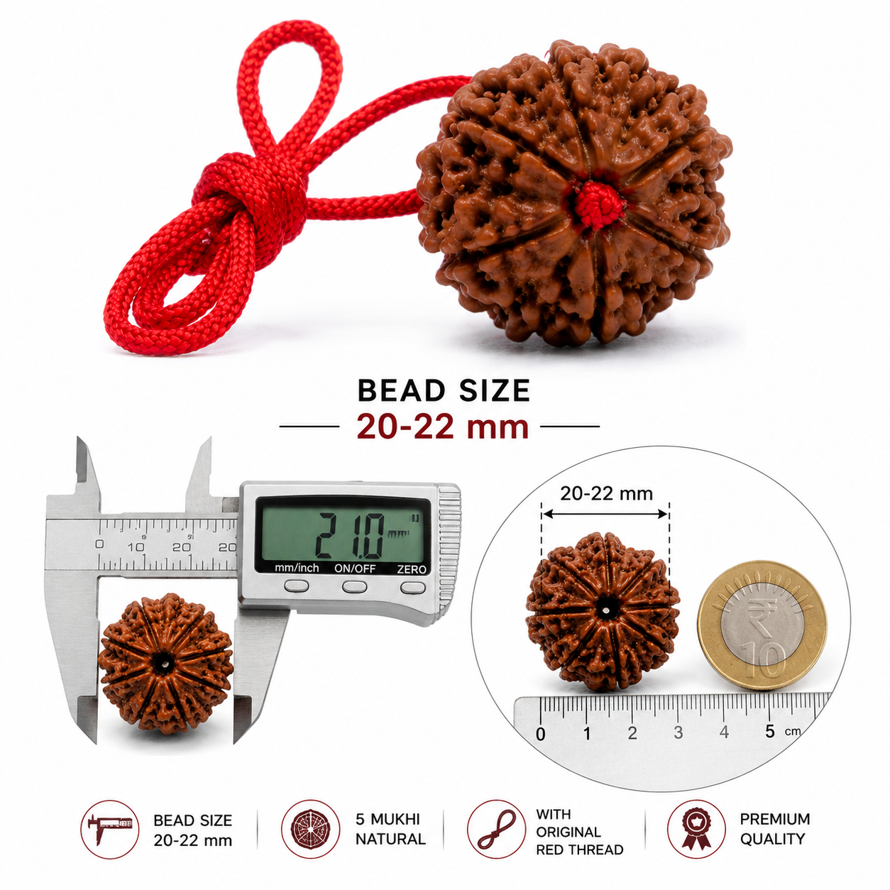 Dhivarashi Nepal 5 Mukhi Rudraksha | Lab Certified | 20–22mm