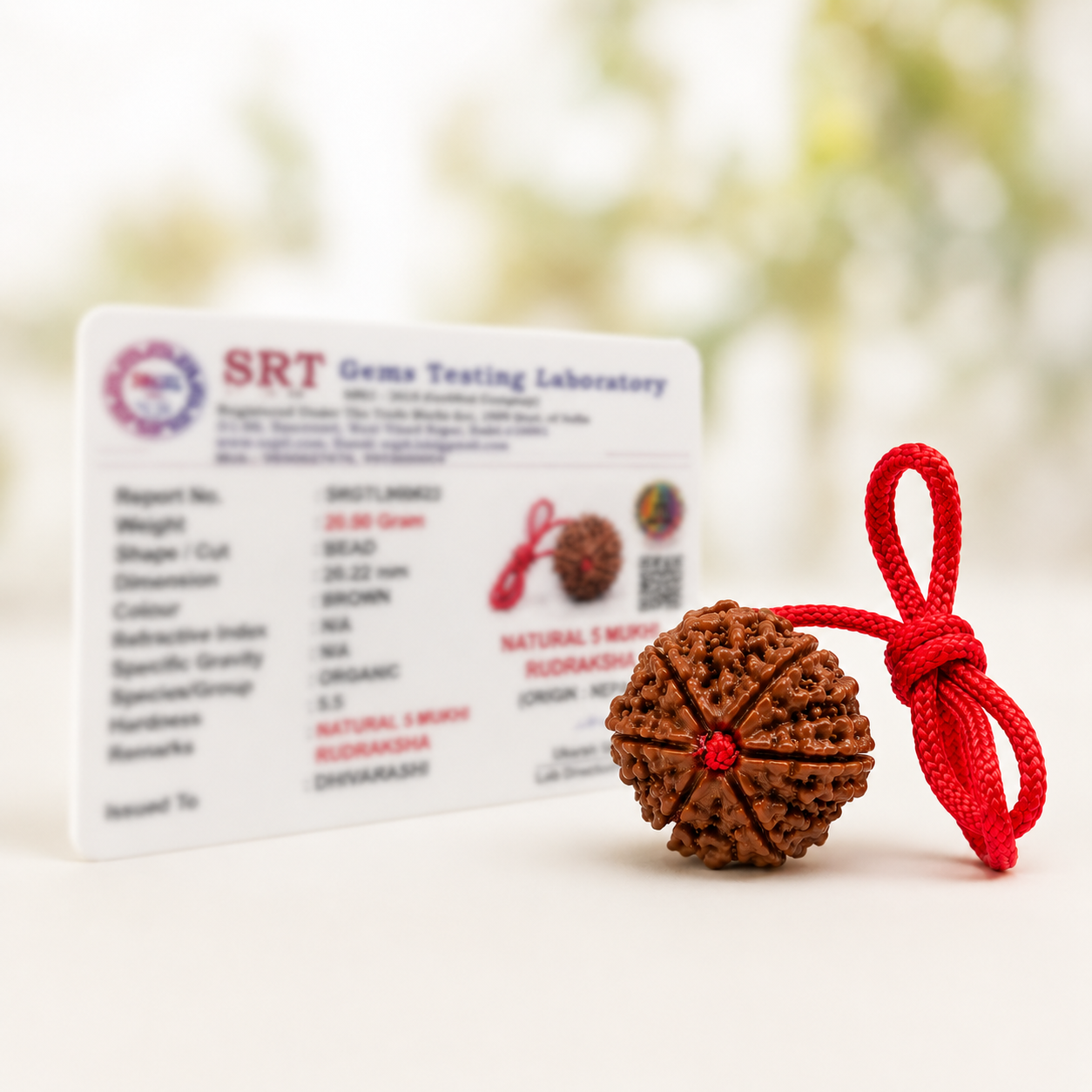 Dhivarashi Nepal 5 Mukhi Rudraksha | Lab Certified | 20–22mm