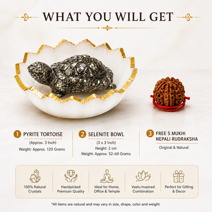 Pyrite Tortoise in Selenite Bowl | Vastu Prosperity Combo with Free Rudraksha