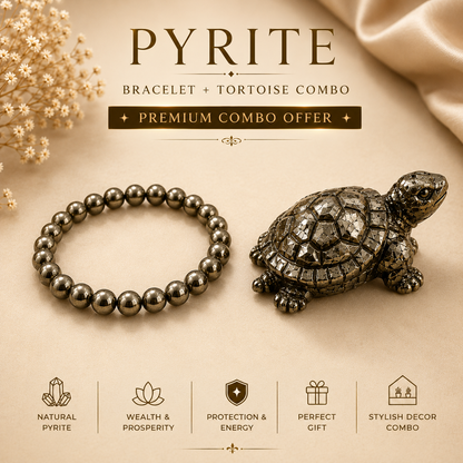 Pyrite Tortoise — Natural Crystal for Wealth, Vastu & Feng Shui | DHIVARASHI