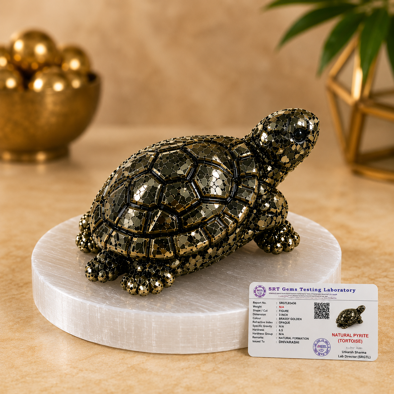 Pyrite Tortoise for Wealth & Vastu | Natural Crystal Bundle with Selenite Plate, Rudraksha & Lab Certificate