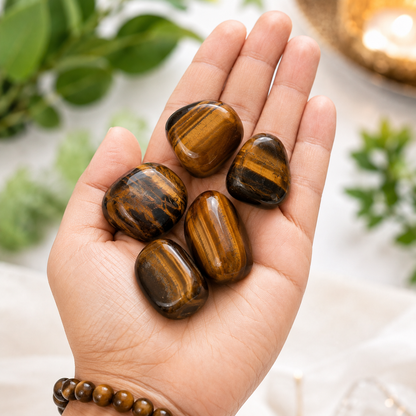 Tiger Eye Tumbled Stones | Set of 5 | Dhivarashi