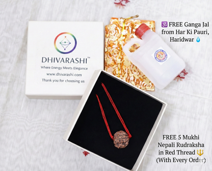 6 Mukhi Rudraksha Bracelet