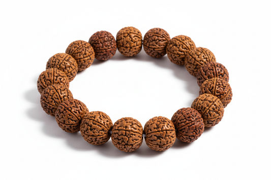 Create a premium product image of a **6 Mukhi Rudraksha Bracelet** made with natural Rudraksha seeds on elastic thread. Arrange the bracelet neatly in a circular shape on a clean white background with soft shadows. Highlight the seed texture and Lord Kartikeya’s focus, willpower, and concentration energy. 1:1 square image.
