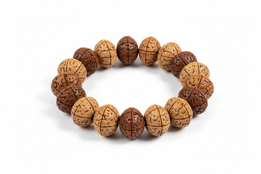 Create a premium product image of a **7 Mukhi Rudraksha Bracelet** made with natural Rudraksha seeds on elastic thread. Arrange the bracelet neatly in a circular shape on a clean white background with soft shadows. Highlight the seed texture and Goddess Lakshmi’s wealth, prosperity, and spiritual success energy. 1:1 square image.
