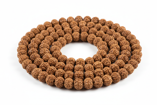 Create a premium product image of a **Rudraksha Mala 6mm** made from authentic small Rudraksha seeds. Arrange the mala neatly in a clear circular shape on a clean white background with soft shadows. Highlight the natural seed texture and spiritual healing meditation energy. 1:1 square image.
