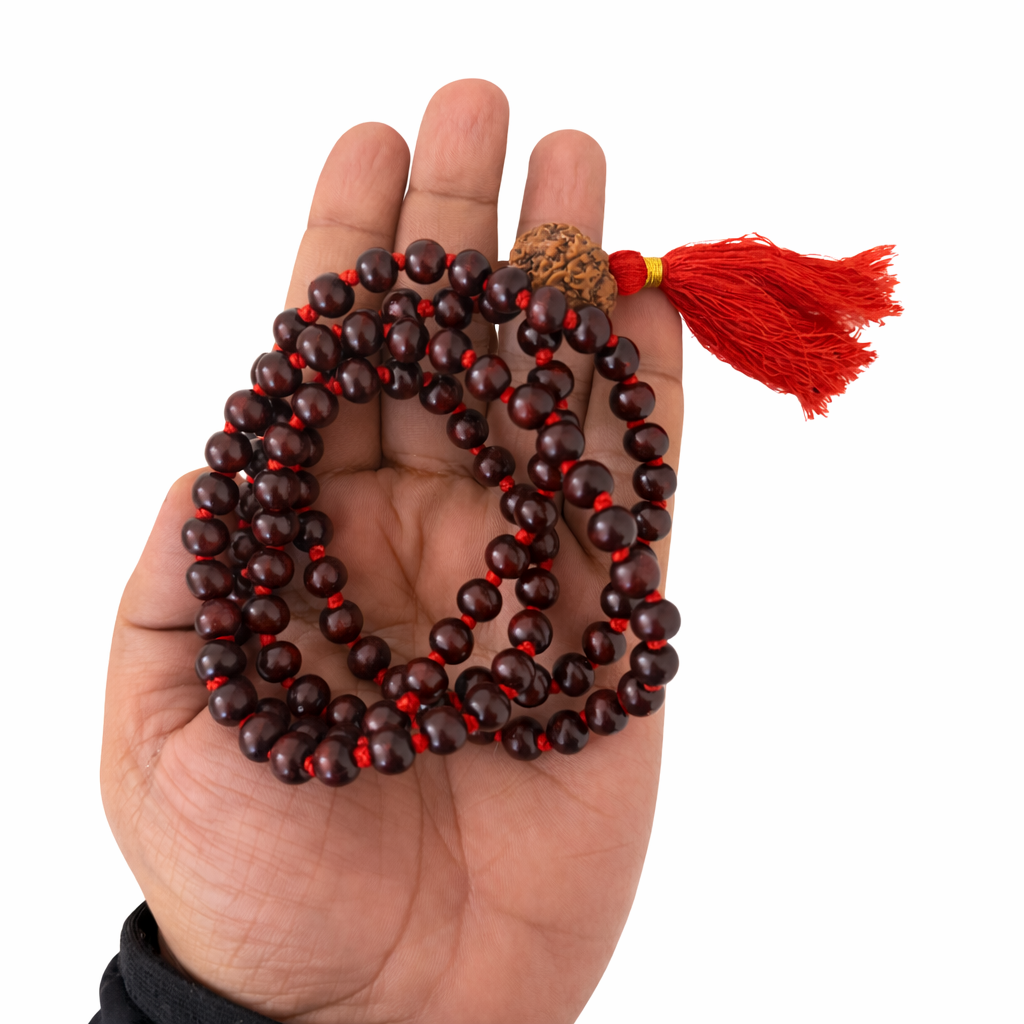 Hand holding DHIVARASHI red sandalwood chandan mala with 5 Mukhi Nepali Rudraksha bead and red thread tassel on white background