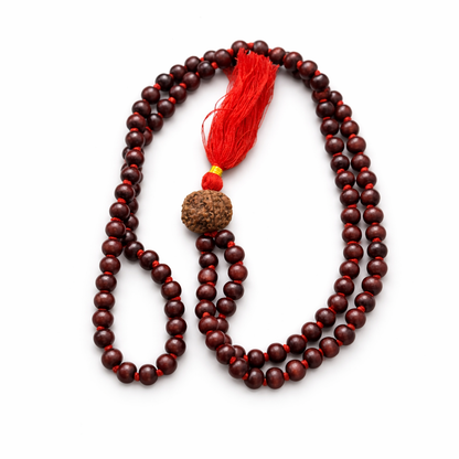 DHIVARASHI red sandalwood chandan mala with 5 Mukhi Nepali Rudraksha bead and red thread tassel arranged on white background