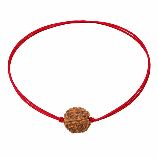 Natural 5 Mukhi Rudraksha bracelet with red thread, original brown rudraksha bead on white background